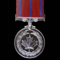 Medal of bravery