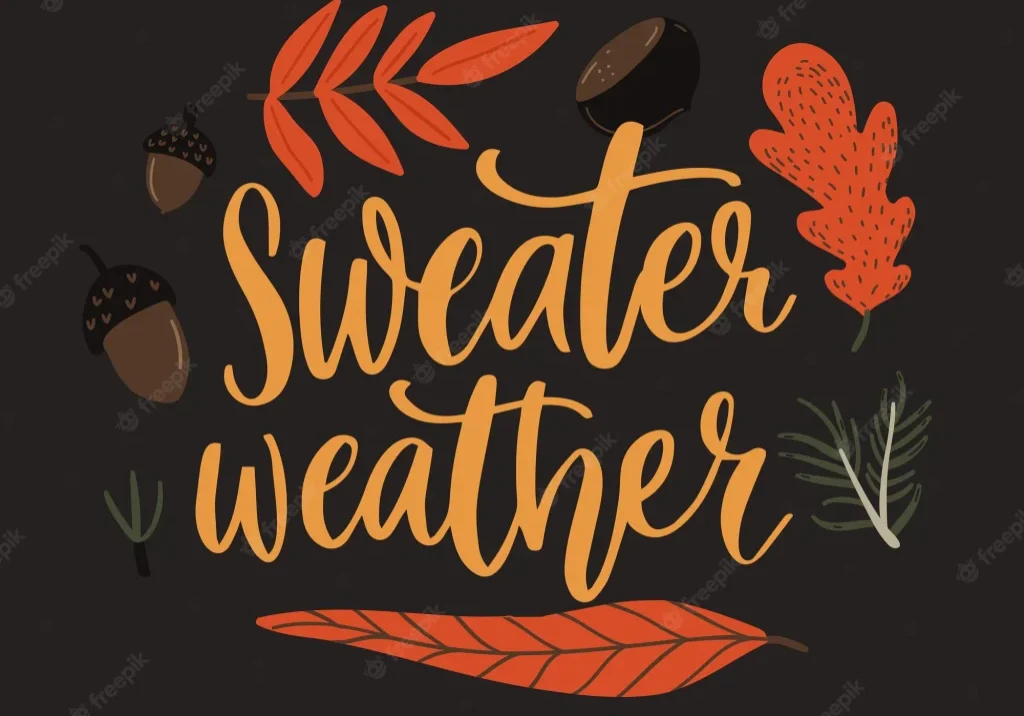 sweater-weather-inspirational-autumn-quote-fall-leaves-corns_511660-347